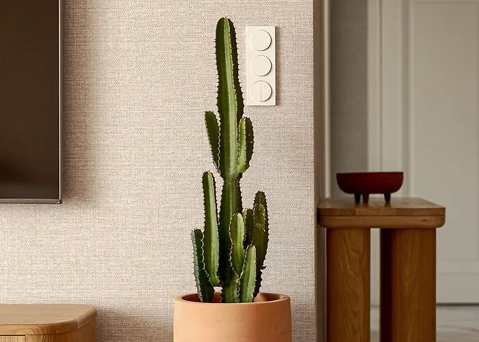 Penthouse Brabank Japandi Luxury Sauna, Fitness & Parking By Grandview 公寓